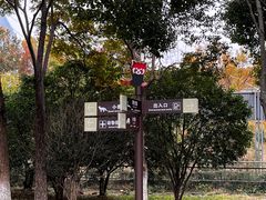 -合肥野生动物园