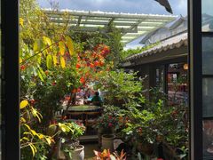 -海韵人家.海景花园经典云南菜(双廊店)