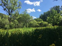 -玉渡山自然风景区