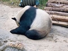 -南昌动物园