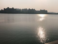 -九龙湖公园