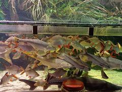 -太平洋海底世界