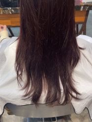 -T.1 hair salon烫染接发