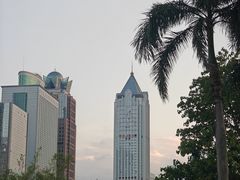 -万绿园