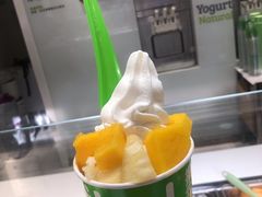 -Salud撒露欧洲冻酸奶(798艺术区店)