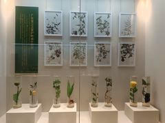 -广东中医药博物馆