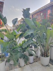 -FUMEIHUI·科技美肤·美体SPA