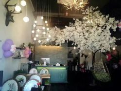 -美年亲子儿童摄影(合肥市滨湖新区金泉小区店)