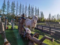 -前小桔亲子创意农场·草莓采摘·露营烧烤