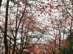 -烈士陵园(地铁站)