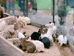 -呀路古热带植物园