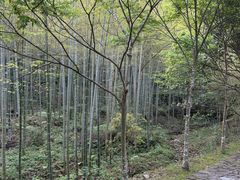 -黄公望隐居地