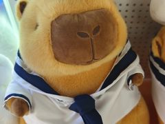 -可爱抓 COCO  GOTCHA(天津鹏欣水游城店)