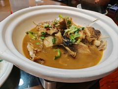 -小小饭店·休闲农庄·安吉松树林里的农家菜