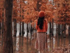 -白鹭湾湿地公园