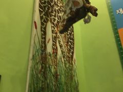 -信不信由你博物馆