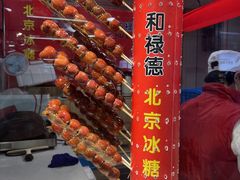 -和禄德冰糖葫芦
