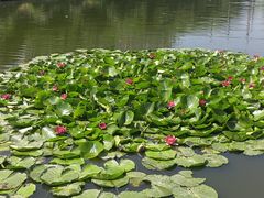 -前关湿地公园