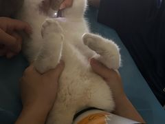 -美迦爱-牙专科·兔科·骨科诊疗中心(北苑店)