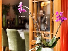 -北京古城老院厉晓麟精致菜