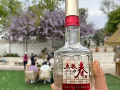 -柠檬花院烤肉·会议团建·聚会·求婚(三圣乡店)
