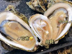 -蚝抵食·湛江生蚝(湾北路店)