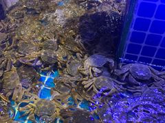 -五月罗马海鲜烤肉自助餐厅(印象城店)