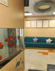 -杭州贝瑞斯美华妇儿医院·早孕·产检·儿科