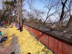 -阳台山自然风景区