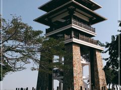 -大湾区中央湿地公园