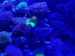 -太平洋海底世界