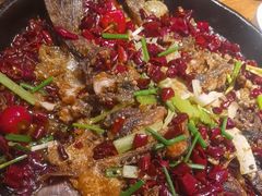-老板恋上鱼(高新万达店)