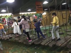 -上海大自然野生昆虫馆(东方明珠·爬宠昆虫探索中心)