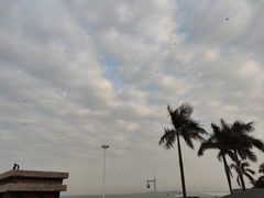 -巨鹏飞梦幻海岸