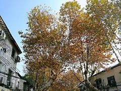 -大叔家福鼎小吃(十全街店)