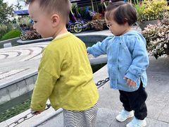 -昆山城市生态森林公园