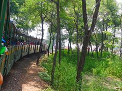 android_upload_pic-南戴河国际娱乐中心