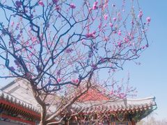 -北京湖广会馆