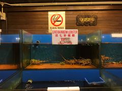 -真浪花园海鲜餐馆
