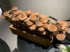 鲜冬菇菌棒-凤园椰珍·臻品椰子鸡(保利时光里店)