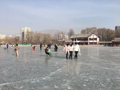 -西宁市人民公园(城西区)
