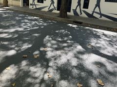 -La Creperie法餐厅(桃江路店)