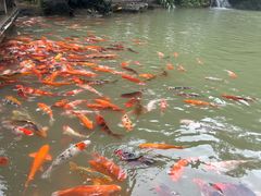 -兰溪地下长河