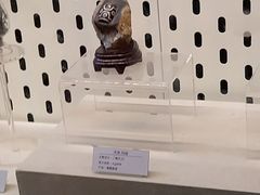-青藏高原自然博物馆