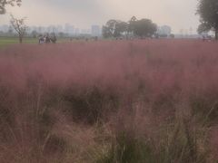 -汉长安城未央宫国家考古遗址公园