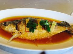 -骏莱海鲜鱼港(五角场店)