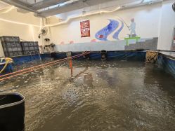 -巡鱼道·室内垂钓·渔具店