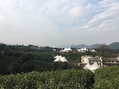 -帐篷客·溪龙茶谷度假酒店