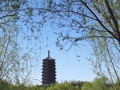 -永定河休闲森林公园