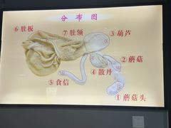 -同城四季爆肚涮羊肉(安华里店)